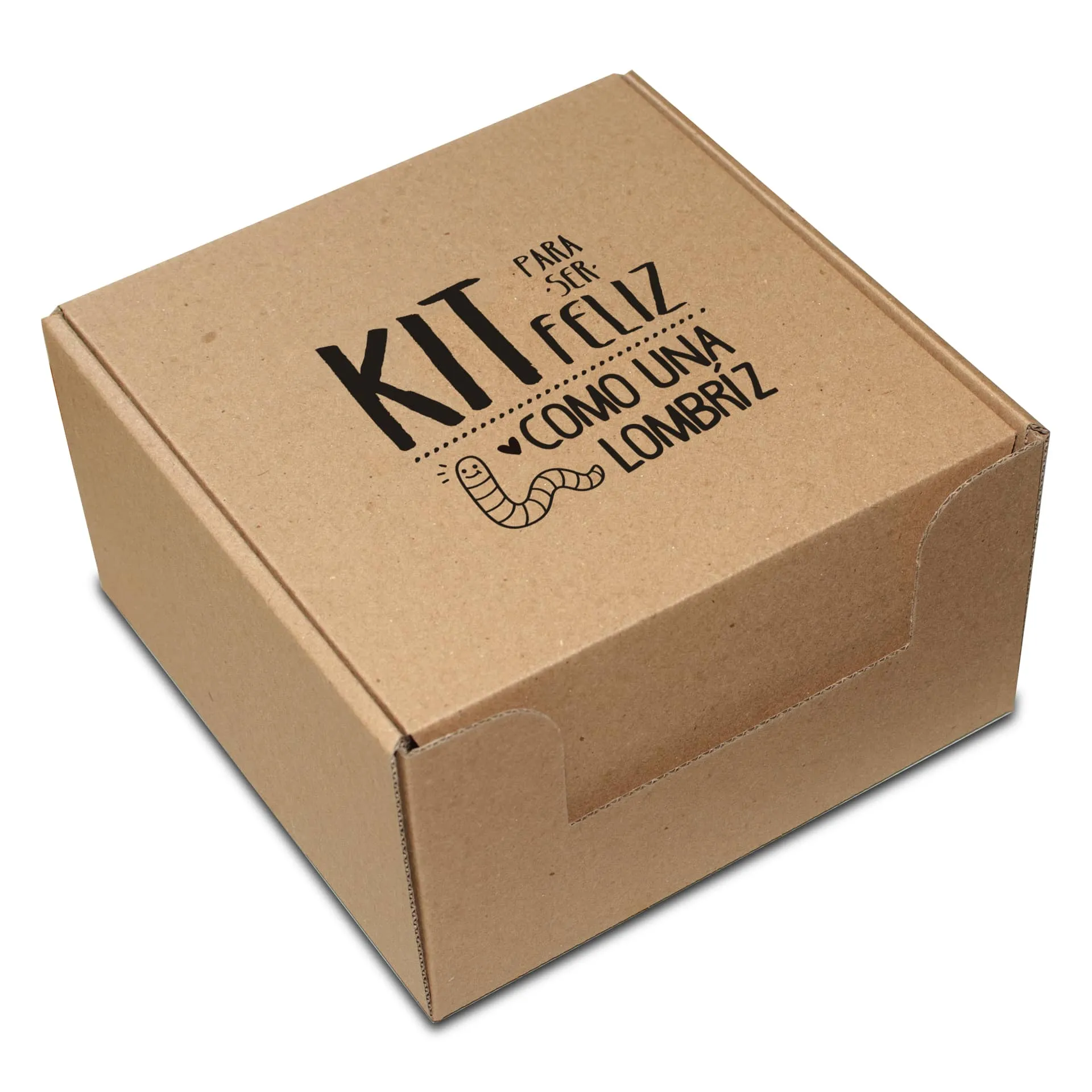 cajas de carton para regalo con mensajes medianas kekaja