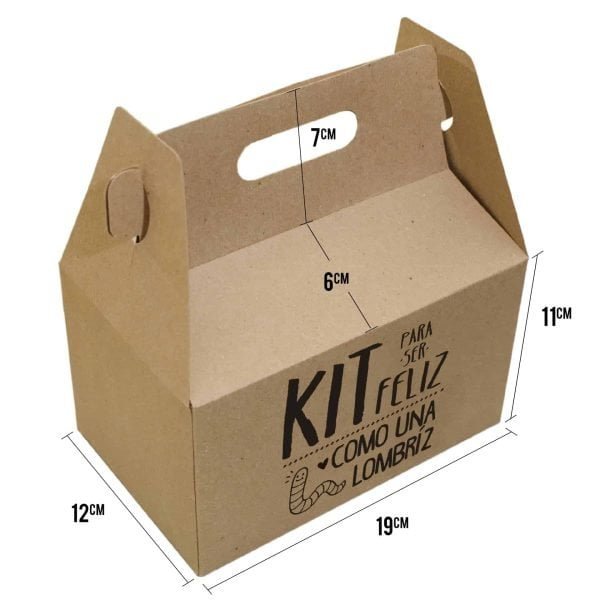 cajas de carton para regalo tipo lonchera kekaja